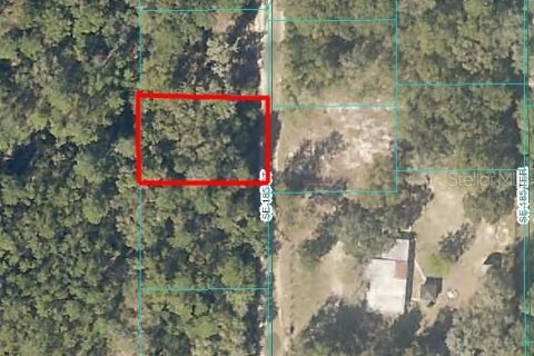 Land in Ocklawaha, Florida № 2229017 - photo 2