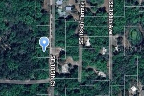 Land in Ocklawaha, Florida № 2229017