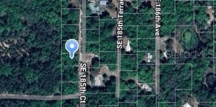 Land in Ocklawaha, Florida № 2229017
