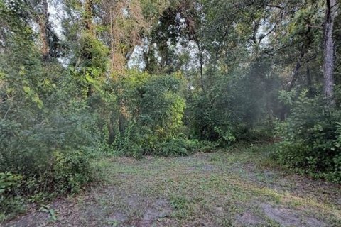 Land in Hudson, Florida № 1820954 - photo 1