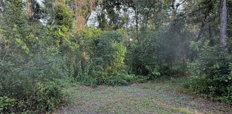 Land in Hudson, Florida № 1820954