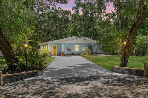 Villa ou maison à vendre à Inverness, Floride: 3 chambres, 156.82 m2 № 1802389 - photo 1