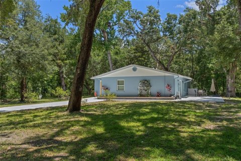 Villa ou maison à vendre à Inverness, Floride: 3 chambres, 156.82 m2 № 1802389 - photo 27
