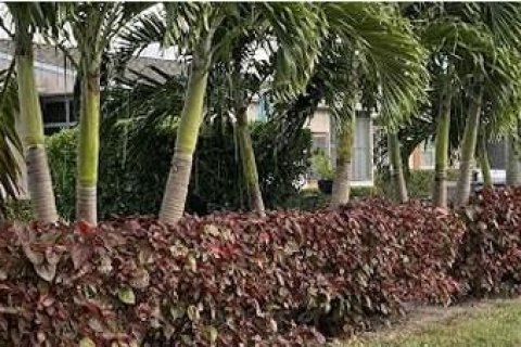 House in West Palm Beach, Florida 1 bedroom, 61.5 sq.m. № 2008274 - photo 13