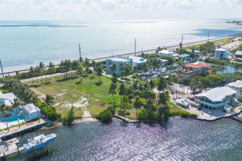 Land in Islamorada, Village of Islands, Florida № 1716210 - photo 8