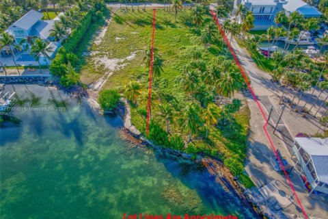 Land in Islamorada, Village of Islands, Florida № 1716210 - photo 4