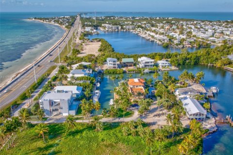 Land in Islamorada, Village of Islands, Florida № 1716210 - photo 7
