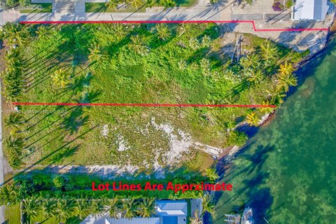 Land in Islamorada, Village of Islands, Florida № 1716210 - photo 3