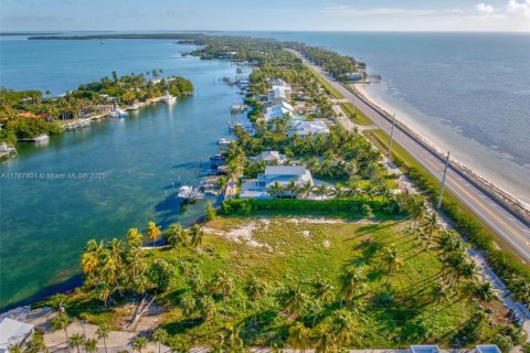 Land in Islamorada, Village of Islands, Florida № 1716210 - photo 6