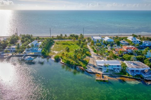 Land in Islamorada, Village of Islands, Florida № 1716210 - photo 1