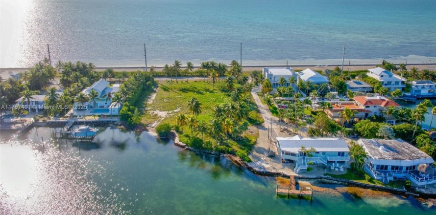 Land in Islamorada, Village of Islands, Florida № 1716210