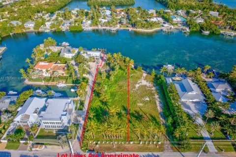 Land in Islamorada, Village of Islands, Florida № 1716210 - photo 2