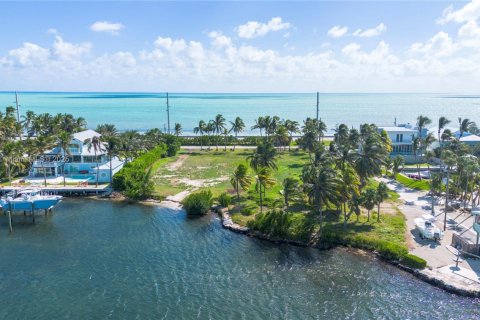 Land in Islamorada, Village of Islands, Florida № 1716210 - photo 9