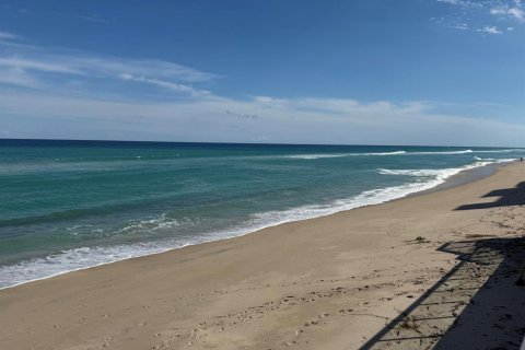 Copropriété à louer à Palm Beach, Floride: 2 chambres, 138.98 m2 № 2417643 - photo 5