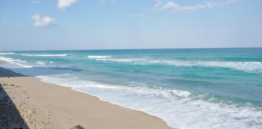 Condo à Palm Beach, Floride, 2 chambres  № 2417643