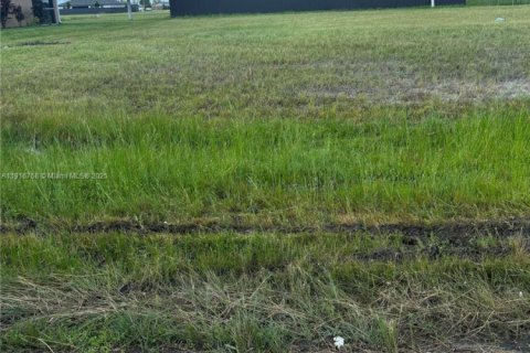 Terrain à vendre à Cape Coral, Floride № 1973806 - photo 1