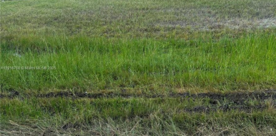 Terrain à Cape Coral, Floride № 1973806