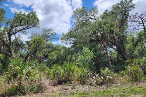 Land in Port Charlotte, Florida № 2163832 - photo 10