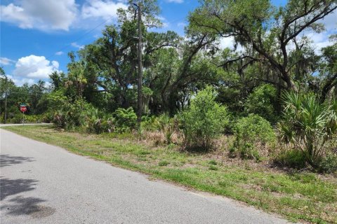 Land in Port Charlotte, Florida № 2163832 - photo 7