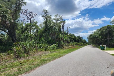 Land in Port Charlotte, Florida № 2163832 - photo 12