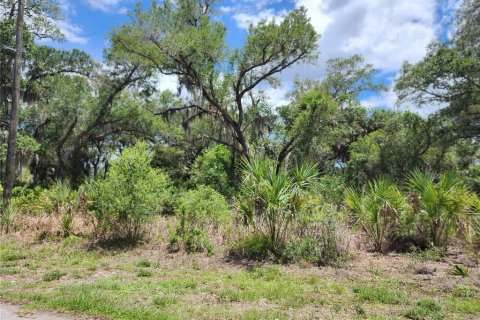 Land in Port Charlotte, Florida № 2163832 - photo 11