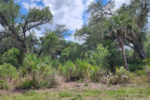 Land in Port Charlotte, Florida № 2163832 - photo 9
