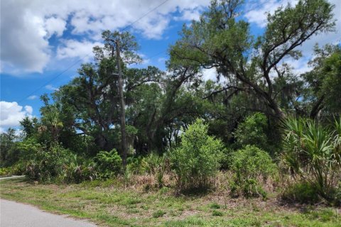 Land in Port Charlotte, Florida № 2163832 - photo 8