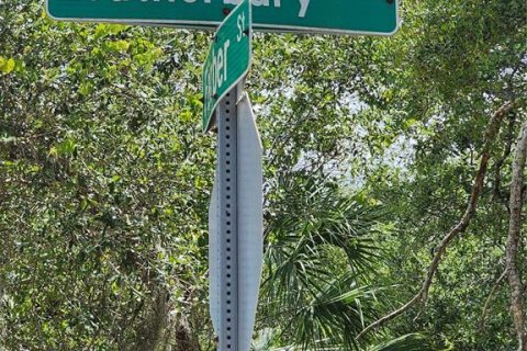 Land in Port Charlotte, Florida № 2163832 - photo 4