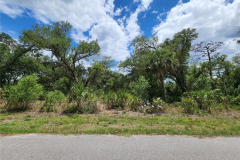Land in Port Charlotte, Florida № 2163832 - photo 6