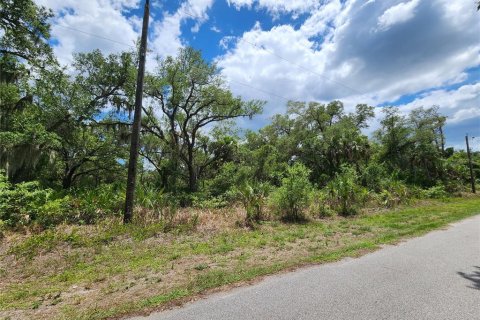 Land in Port Charlotte, Florida № 2163832 - photo 5