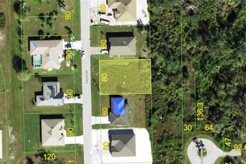 Land in Punta Gorda, Florida № 2163007 - photo 2