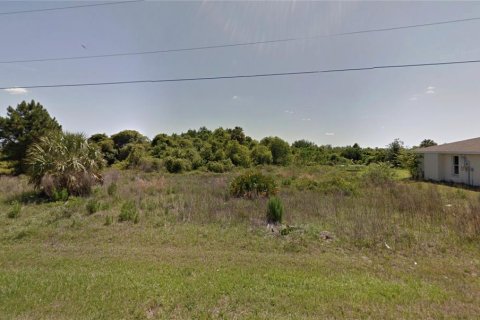 Land in Punta Gorda, Florida № 2163007 - photo 9