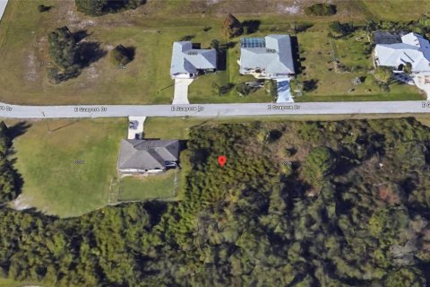 Land in Punta Gorda, Florida № 2163007 - photo 7