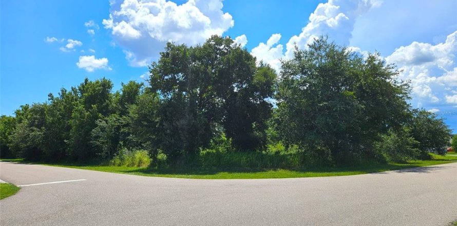 Land in Punta Gorda, Florida № 1894511