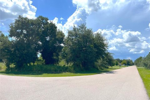 Land in Punta Gorda, Florida № 1894511 - photo 8