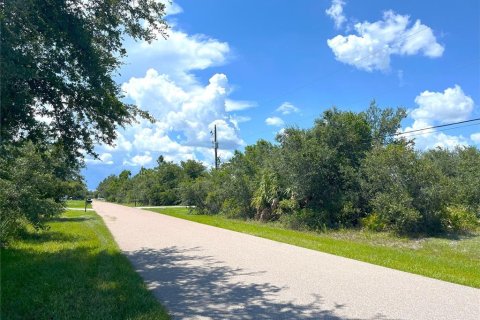 Land in Punta Gorda, Florida № 1894511 - photo 10