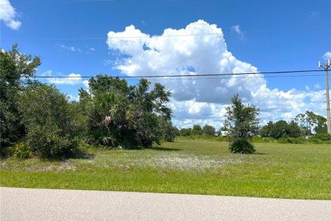 Land in Punta Gorda, Florida № 1894511 - photo 12