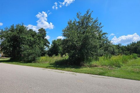 Land in Punta Gorda, Florida № 1894511 - photo 11