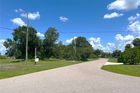 Land in Punta Gorda, Florida № 1894511 - photo 13