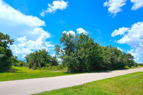Land in Punta Gorda, Florida № 1894511 - photo 5