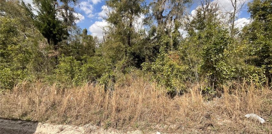 Terreno en Fort White, Florida № 1560843