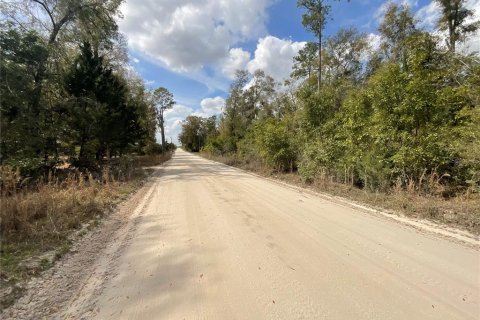 Terreno en venta en Fort White, Florida № 1560843 - foto 4