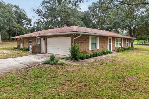 Villa ou maison à vendre à Eustis, Floride: 4 chambres, 174.56 m2 № 2388520 - photo 2
