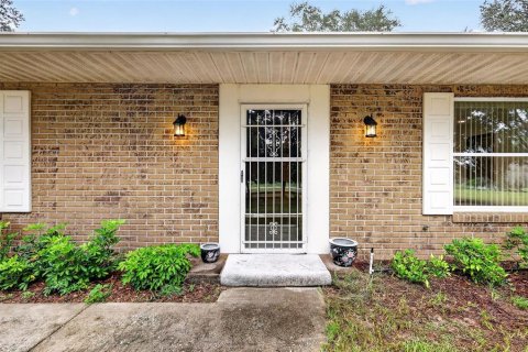 Villa ou maison à vendre à Eustis, Floride: 4 chambres, 174.56 m2 № 2388520 - photo 5
