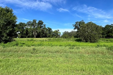Land in Ocala, Florida № 2299103