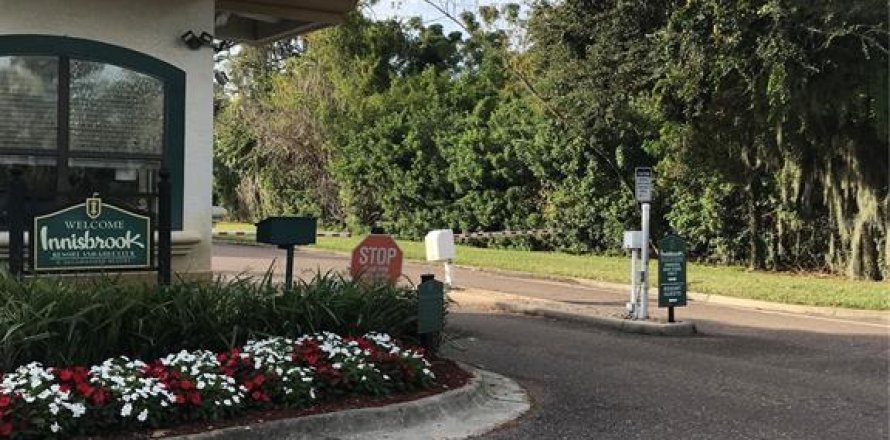 Estudio en el Condominio en Palm Harbor, Florida № 1509071