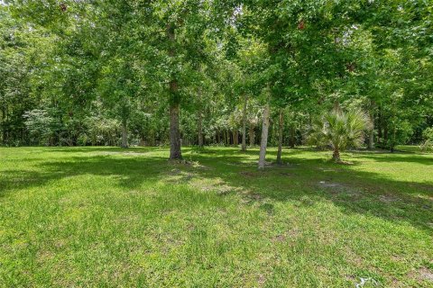 Land in Palm Coast, Florida № 1784831 - photo 2