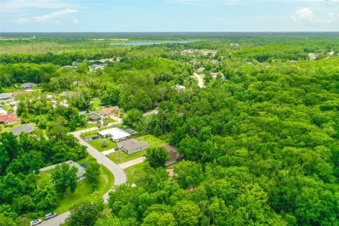 Land in Palm Coast, Florida № 1784831 - photo 11