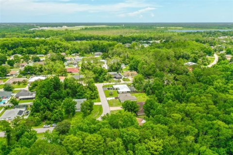 Land in Palm Coast, Florida № 1784831 - photo 10