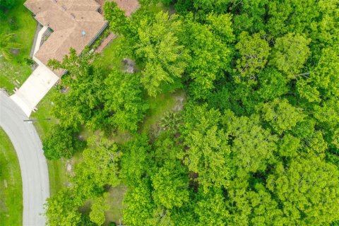 Land in Palm Coast, Florida № 1784831 - photo 1